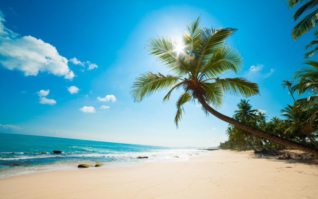 Солнце, море, лето, пляж. Райское наслаждение.
